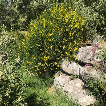 Le Logis Frühstückspension Gordes