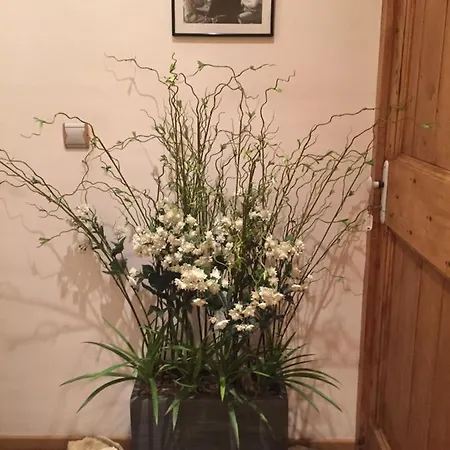 Bed & Breakfast Le Logis 3*