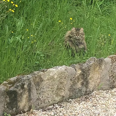 Le Logis